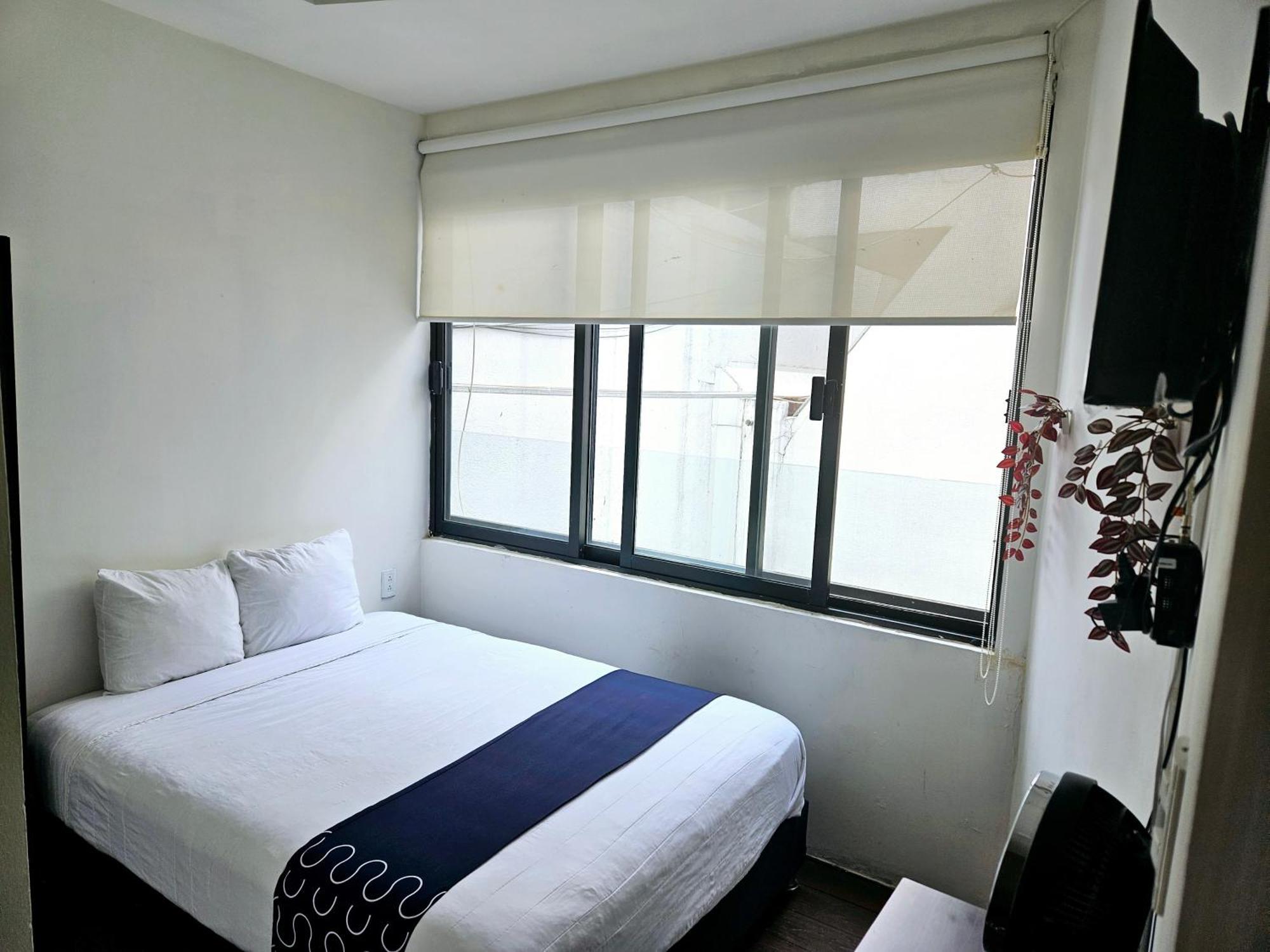 Hotel Singular Socrates à Mexico Extérieur photo
