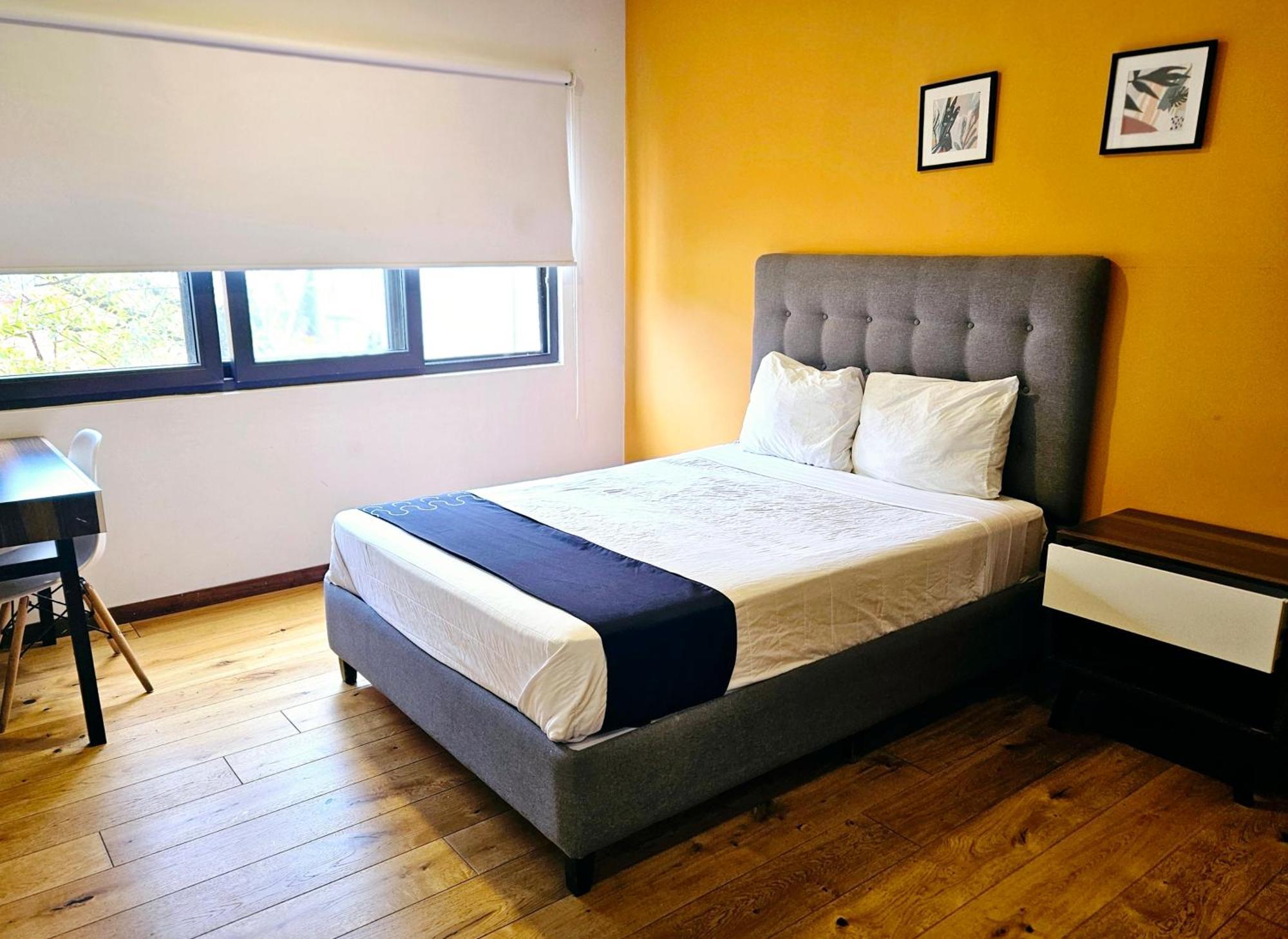 Hotel Singular Socrates à Mexico Extérieur photo