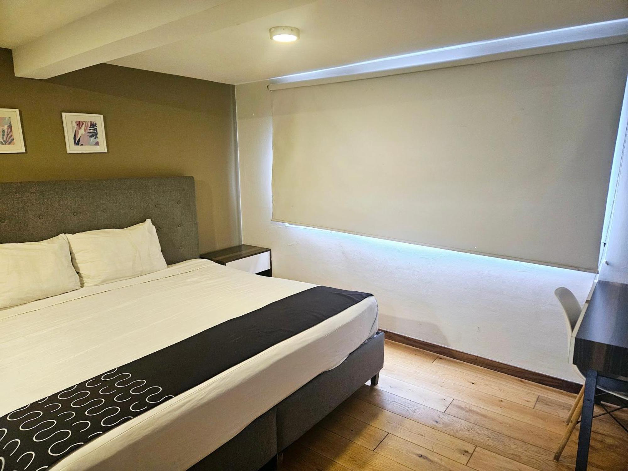 Hotel Singular Socrates à Mexico Extérieur photo